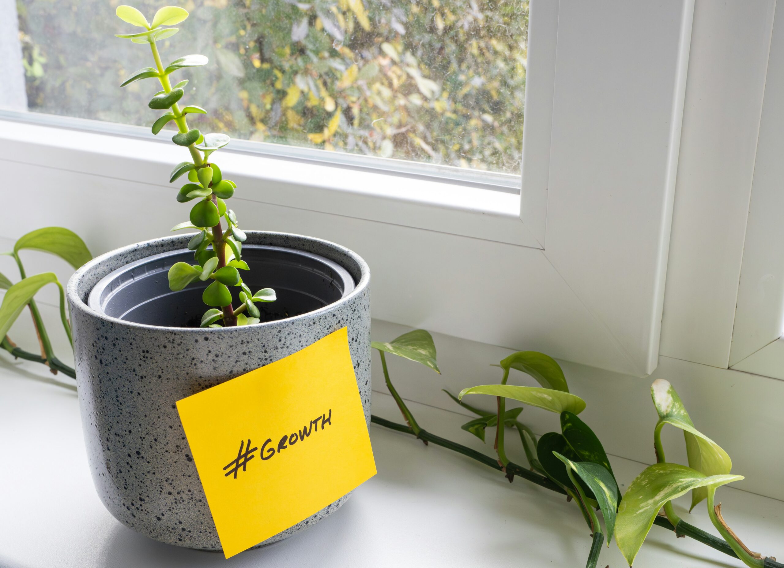 Small plant with a sticky note with the hashtag #growth on it - DIY Guide to Fixing a Sticking Window