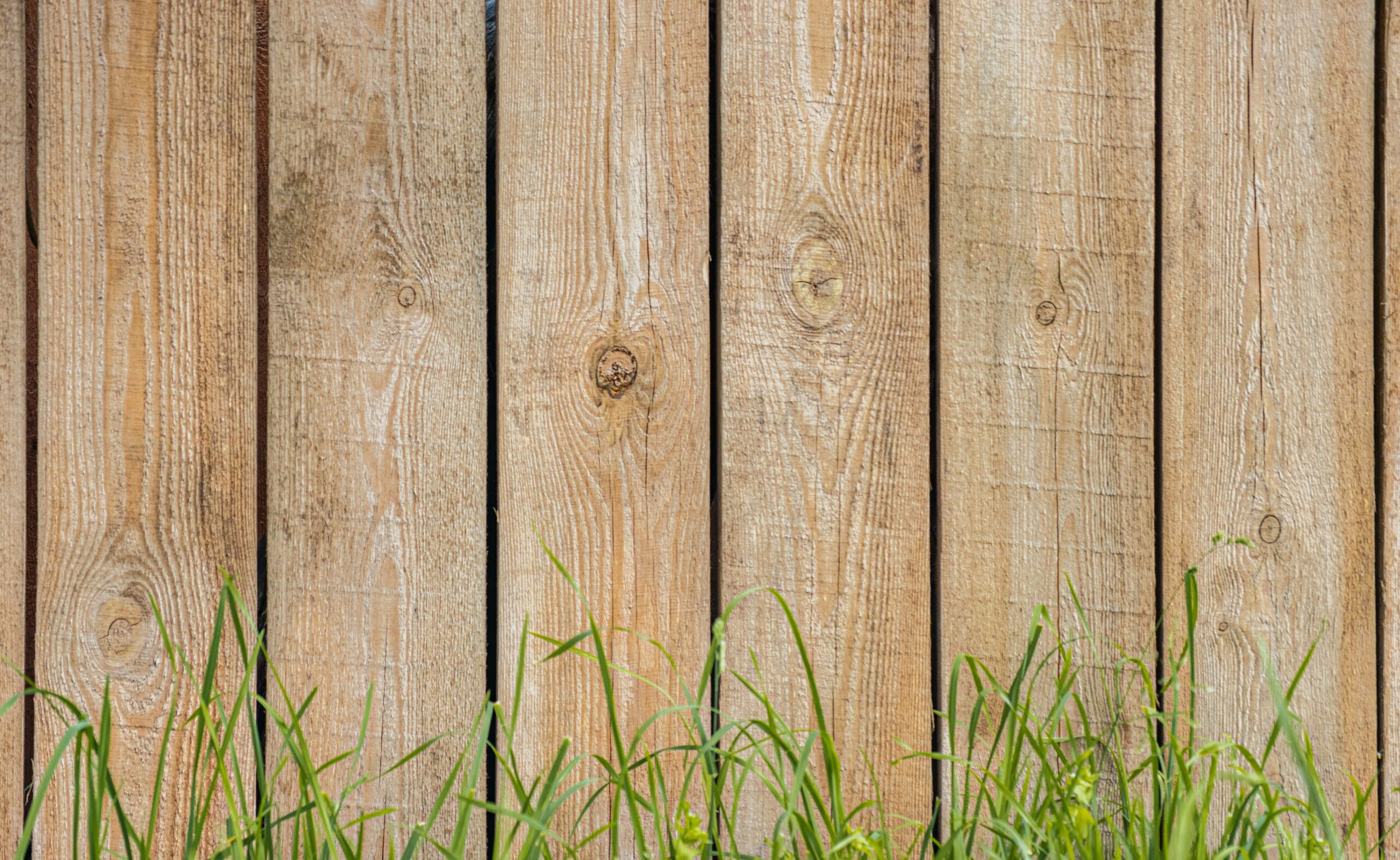 Summer wooden fence with grass - How to Install a Garden Fence for Added Privacy