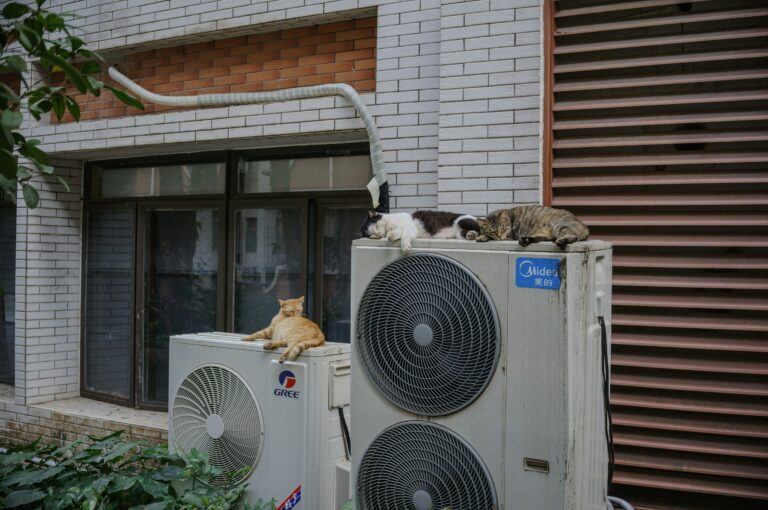Cats relax on top of air conditioning units - Troubleshooting Common Radiator Problems