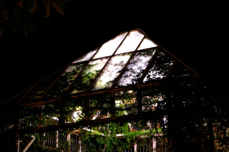 a building with a glass roof covered in vines