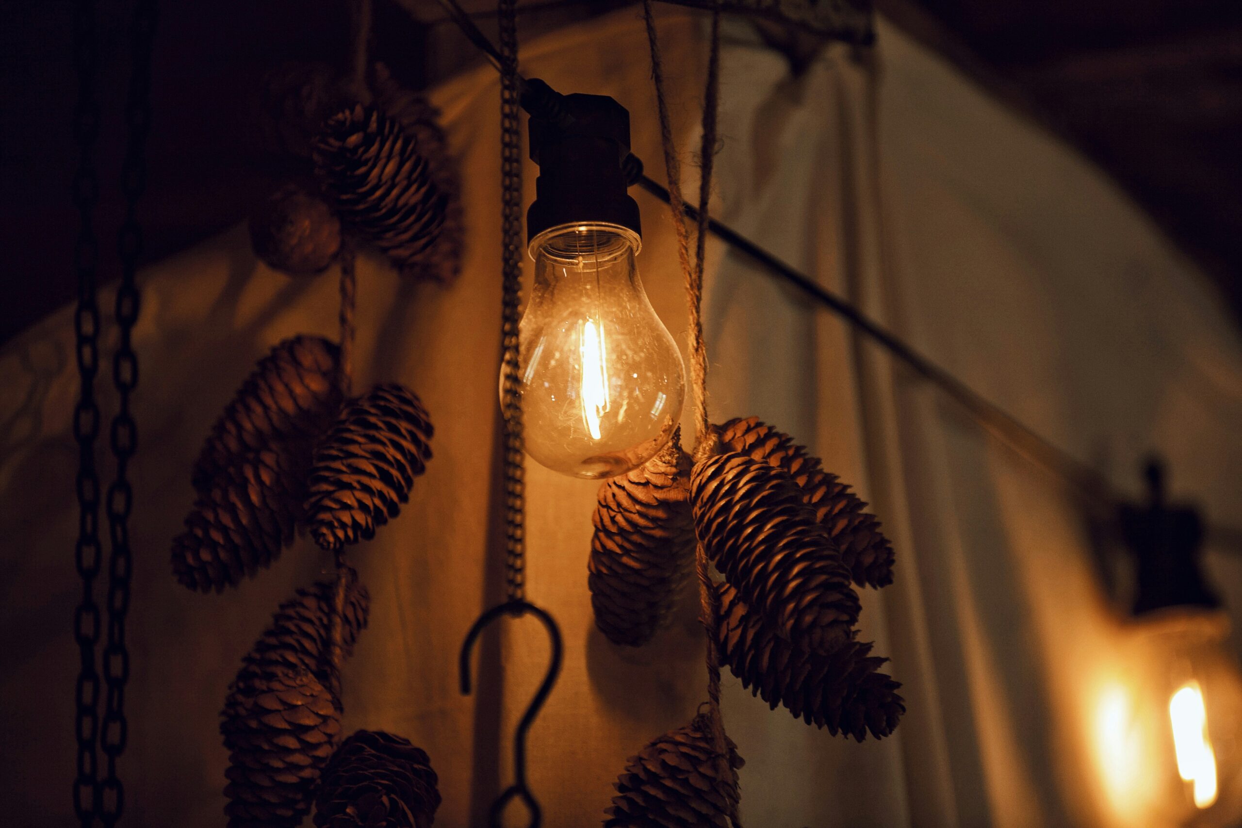 a light bulb hanging from a wall with pine cones