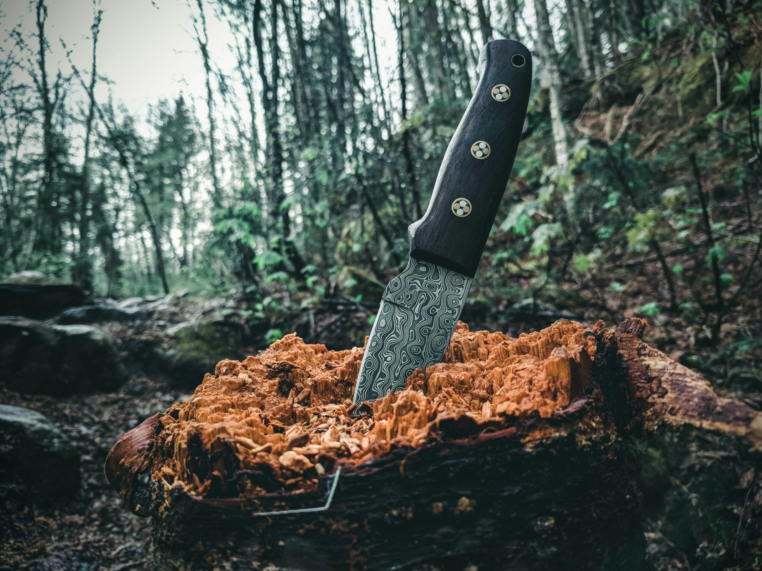 black handled knife on brown log