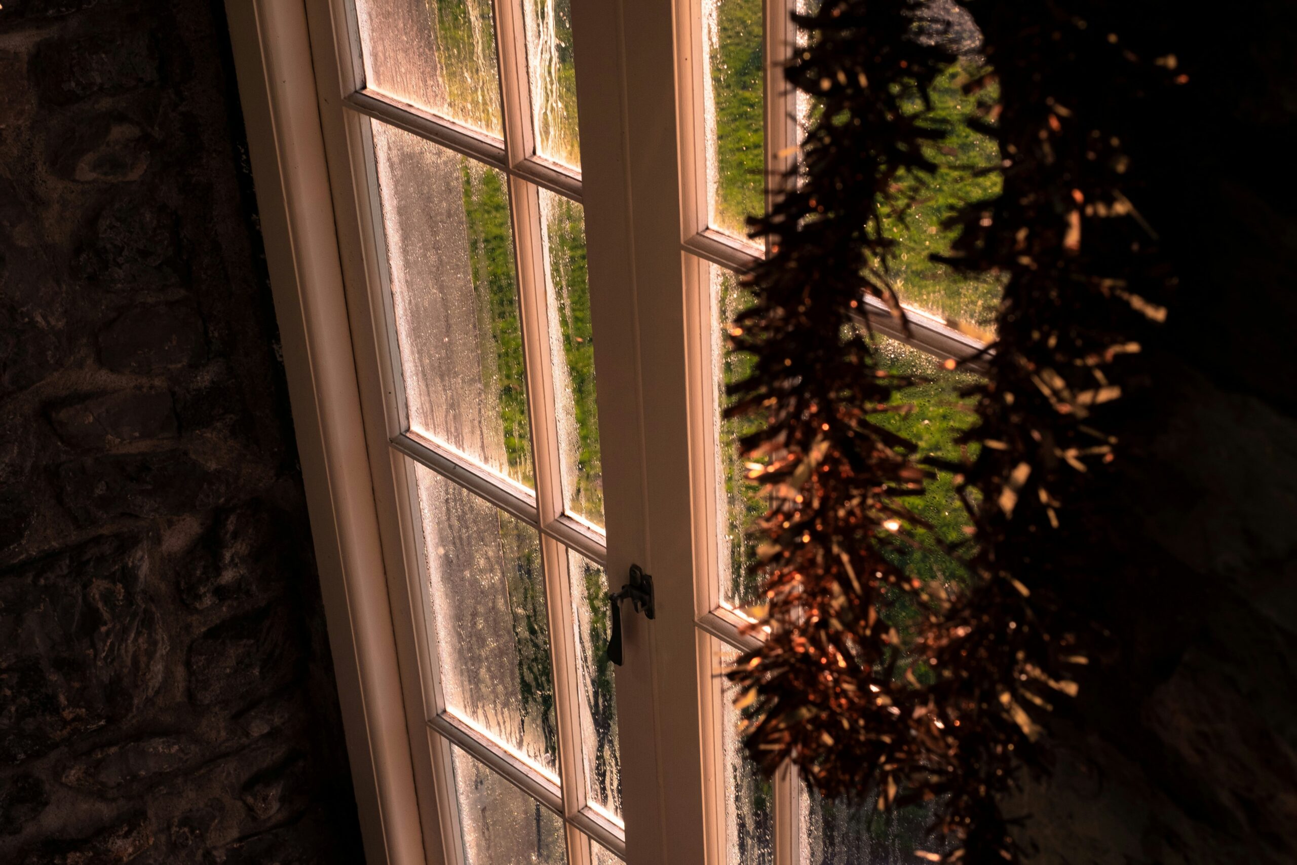 a window with a potted plant in front of it