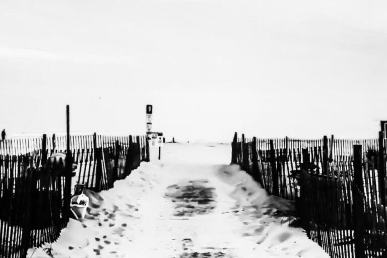 a black and white photo of a snowy path