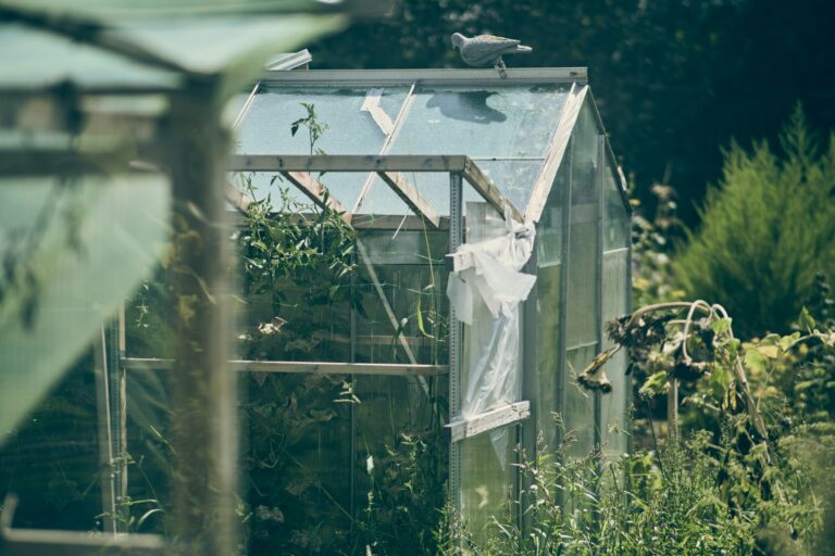 a small green house with a bird sitting on top of it