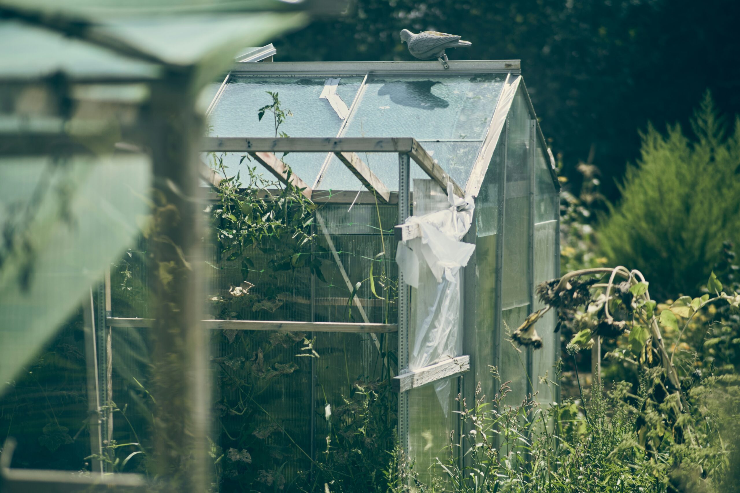a small green house with a bird sitting on top of it