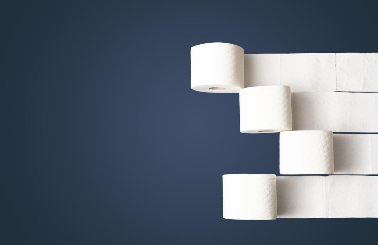 Quick Fixes for a Wobbly Toilet Seat