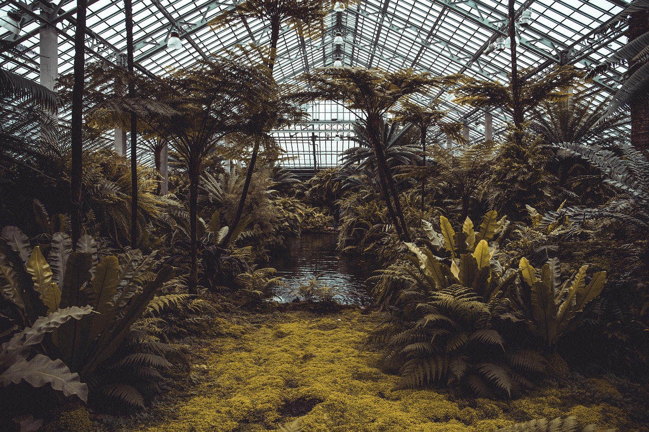 Top Fascia Cleaner Products for Conservatory Maintenance in 2026 — UK Buyer’s Guide